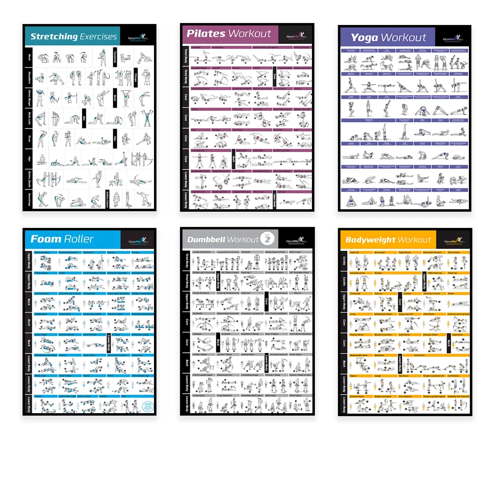 ボディエクササイズトレーニングチャートワークアウトホームジム - Sports Equipment Poster のレビューと価格